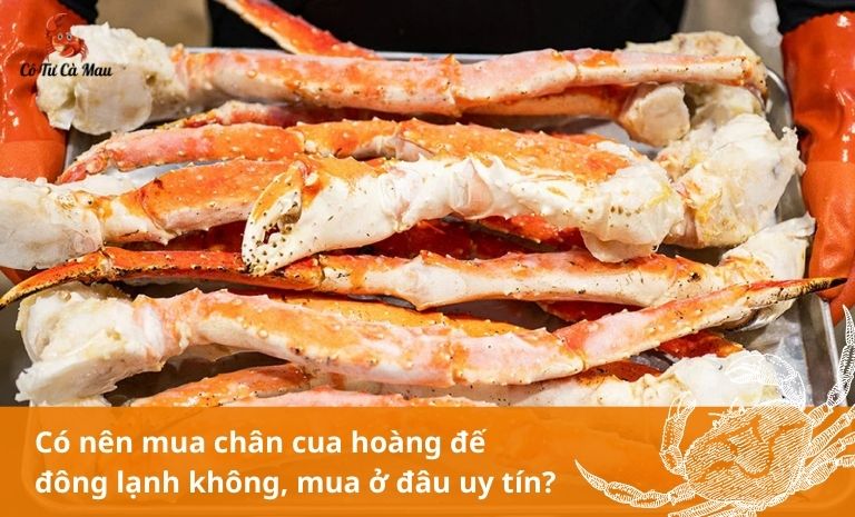 Có nên mua chân cua hoàng đế đông lạnh không? Địa chỉ mua chân cua hoàng đế uy tín?