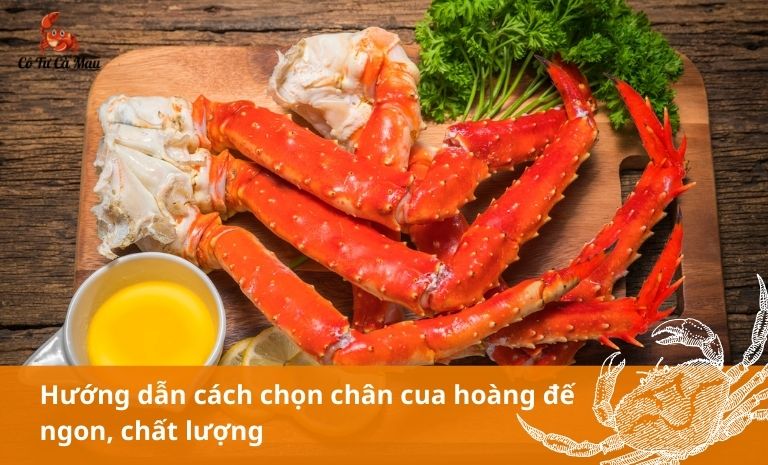 Gợi ý cách chọn chân cua hoàng đế để chế biến món ăn hấp dẫn