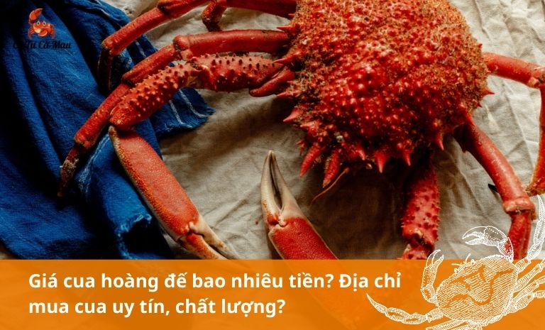 Giải đáp thắc mắc giá cua hoàng đế bao nhiêu tiền